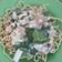Cooksnap dari Adel untuk resep Mie Titi Makassar