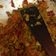 Cooksnap dari nana untuk resep Balado usus ayam pedas