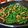 Cooksnap dari Natalia Soelaeman untuk resep Tumis kacang panjang + tempe