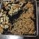 Cooksnap dari makayla untuk resep Cake coklat putih telor keto