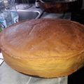 El cooksnap de Laura Peralta Quintana cuando hizo Bizcochuelo básico.