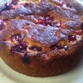 Cassandra Newcomb's cooksnap of when they made Yogurt Cake With Fruit Jam.