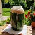 Nagy Ildikó Cooksnap-ja, amikor elkészítette a(z) Hagyományos kovászos uborka receptet.