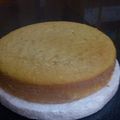 El cooksnap de Lidia Vasquez cuando hizo Bizcochuelo de crema de leche.
