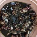 Cooksnap dari DianJo untuk resep Sotong Masak Hitam