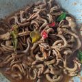 Cooksnap dari Novita Sri Rahayu untuk resep 342. Oseng Usus Ayam Kecap