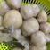 Cooksnap dari Mameeeh untuk resep Cilok Bumbu Kacang