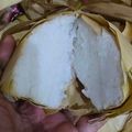 Cooksnap dari Satia Budianti untuk resep Ketupat simpel ngga pake presto