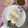 Lovely Adhikari's cooksnap of when they made Idli.