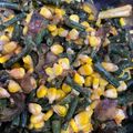 Cooksnap dari Vera untuk resep Rica Rodo khas Manado