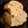 El cooksnap de Vale Santa cuando hizo Galletas de avena,coco y pasas de uva🌷.