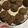 Cooksnap dari Mama Wongso untuk resep Chewy Chocolate Cookies