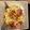 Tim Volonakis's cooksnap of when they made Spaghetti alla gricia.