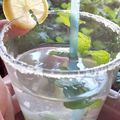 Shradha Nema (foodgazin')'s cooksnap of when they made Refreshing Mint Sorbet Lemonade.