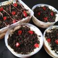 Cooksnap dari anita untuk resep Tiramissu irit