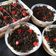 Cooksnap dari anita untuk resep Tiramissu irit