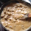 El cooksnap de Juliana Hernández cuando hizo Strogonoff de carne de res.