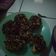 Cooksnap dari indah untuk resep Donat Empuk (No Ribet dan No Timbangan)