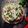 Sweetu Gudhka's cooksnap of when they made રોટી પીઝા (Roti Pizza Recipe In Gujarati).