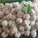 Cooksnap dari Widjie Astuti untuk resep Klepon Singkong