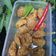 Cooksnap dari cook_108152024 untuk resep Lento Kacang Ijo