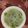 水晶姊姊 的 清甜蒸絲瓜（電鍋簡單料理） cooksnap