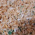 Cooksnap dari Div untuk resep Mie goreng
