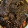 Cooksnap Qistina Azani semasa beliau membuat Daging Masak Hitam.