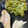 El cooksnap de astrid badia cuando hizo Judías verdes con jamón.