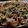 Roshani Gautam Pandey's cooksnap of when they made दही पूरी (Dahi puri recipe in hindi).