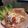 Cooksnap dari Kristina Santi Tjahjadi untuk resep Sandwich ala Korean Street Food