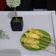 Cooksnap dari astri untuk resep Cilor gulung