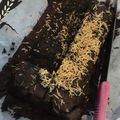 Cooksnap dari evianty untuk resep Chewy Brownies Sekat anti gagal (no mixer)