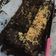 Cooksnap dari evianty untuk resep Chewy Brownies Sekat anti gagal (no mixer)