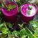 Mamta Dwivedi का कुकस्नैप जब उन्होंने जामुन स्लश (Jamun Slush recipe in Hindi) बनाया था।