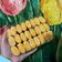 Cooksnap dari Nita Nurkomarasari untuk resep Kue Lebaran : Kastengel Keju