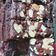 Cooksnap dari Cici Wulan Nurhamah untuk resep 48. Chewy Brownies