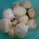 Cooksnap dari Ayu Primanda untuk resep Milk cookies