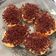 Cooksnap dari Lita Elisa untuk resep Donat Kampung Yang Ga Kampungan Amat