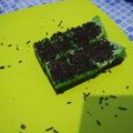 Cooksnap dari Nia Kurniawati untuk resep Brownies Kukus Coklat Pandan