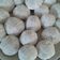 Cooksnap dari Evarista van Nguyen untuk resep Mochi kacang