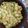 El cooksnap de Angélica cuando hizo Ensalada rusa.