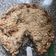 El cooksnap de Manuela Casique cuando hizo Crumble de manzana saludable 🌱💚.