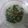 Cooksnap dari Fi Di Nurlaela untuk resep Lodeh Bayam