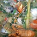 Cooksnap dari aenun jariyah untuk resep Pindang patin kuah segar ala ms.Rasell
