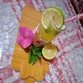 صورة من 🍓🇩🇿Sweet Fresa🍓، شاركها بعد تجربة وصفة عصير موخيتو🍋