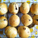 Gabriella Hegedus Cooksnap-ja, amikor elkészítette a(z) Hot Cross Buns receptet.
