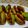 Vandana Johri का कुकस्नैप जब उन्होंने अचारी भरवां परवल - सफर के लिए बेस्ट (Pointed gourd stuffed with pickle masala- best for travelling) बनाया था।