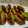 Vandana Johri का कुकस्नैप जब उन्होंने अचारी भरवां परवल - सफर के लिए बेस्ट (Pointed gourd stuffed with pickle masala- best for travelling) बनाया था।