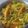 Riv Raj's cooksnap of when they made કોબીજ ગાજર અને મરચા નો સંભારો (Cabbage Gajar Marcha Sambharo Recipe In Gujarati).